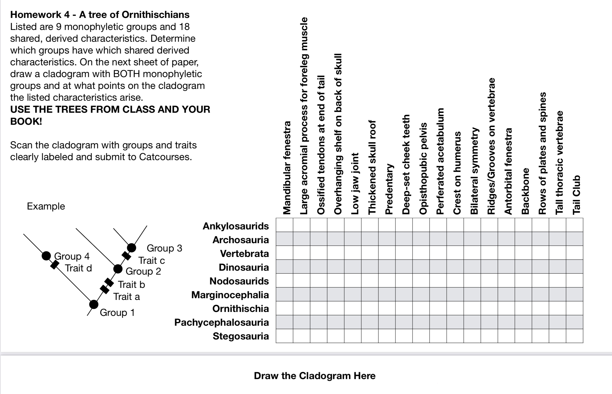 Evolution'S Fingerprint: What Are Derived Characteristics? - euwudac