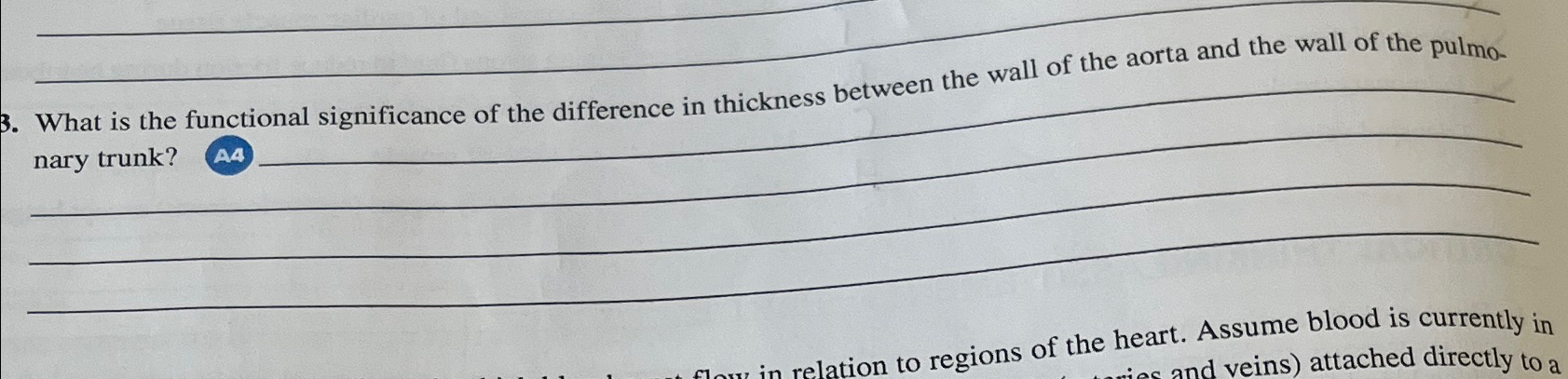 Solved What is the functional significance of the difference | Chegg.com