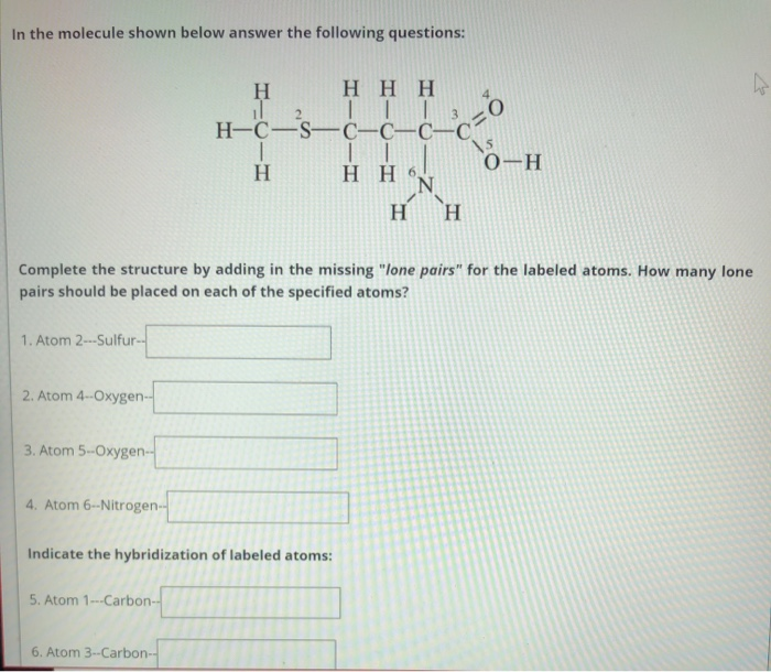 Solved In The Molecule Shown Below Answer The Following | Chegg.com