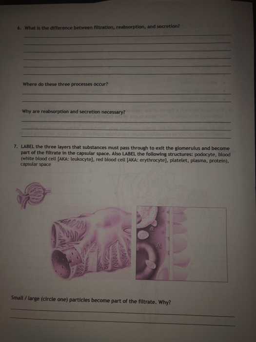 Solved 6. What is the difference between filtration,