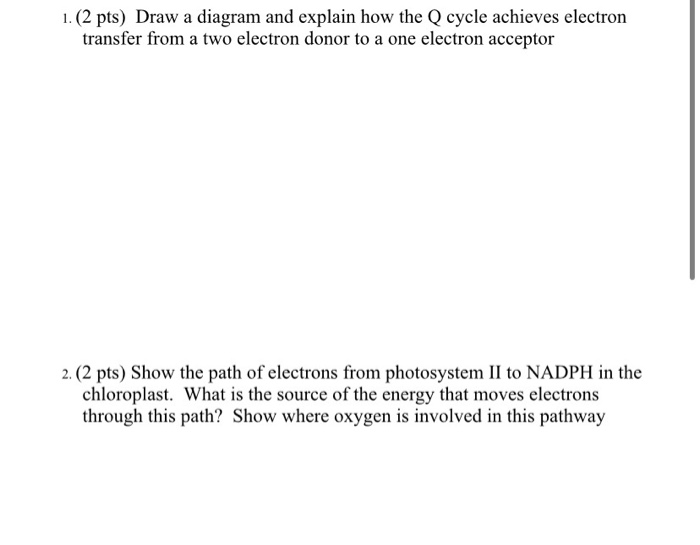 Solved 1. (2 pts) Draw a diagram and explain how the Q cycle | Chegg.com