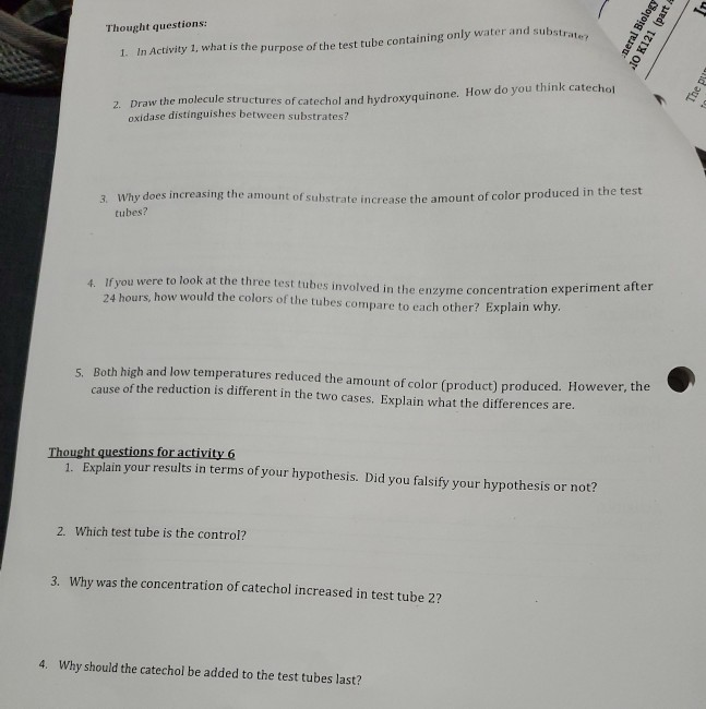 solved-1-in-activity-1-what-is-the-purpose-of-the-test-chegg