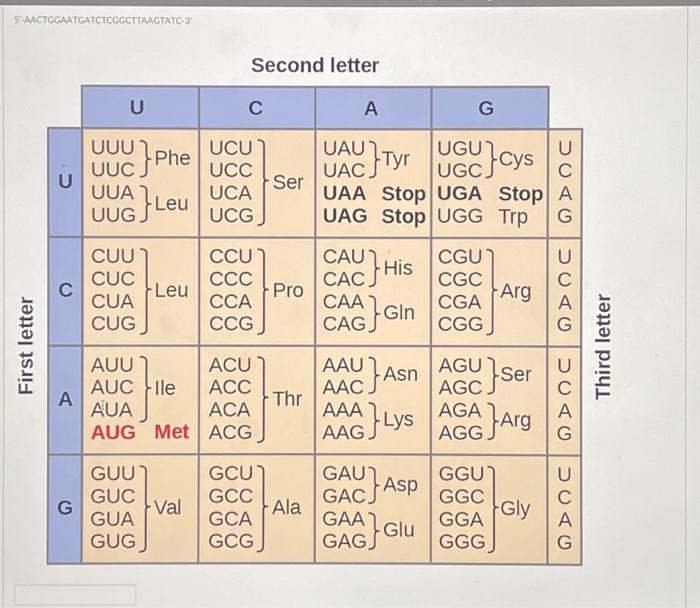 Solved 5-AACTGGAATGATCTCGGCTIAAGTATC-3 The amino acid | Chegg.com