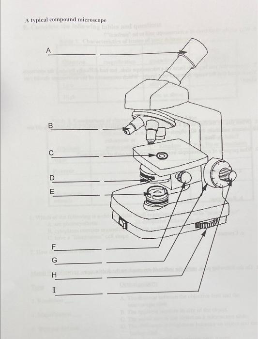 Solved A typical compound microscope A В с C D E F G H I | Chegg.com