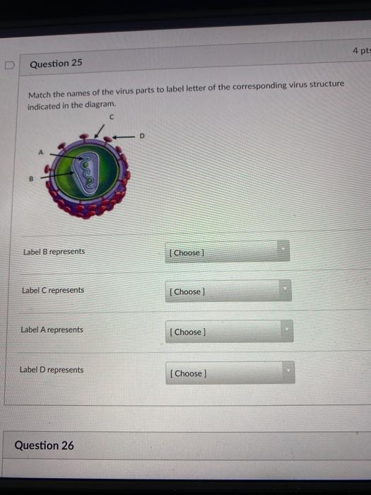 Solved 4 pt= Question 25 Match the names of the virus parts | Chegg.com