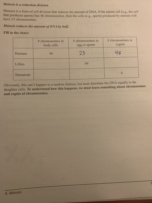 Solved Meiosis is a reduction division. Meiosis is a form of Biology Diagrams