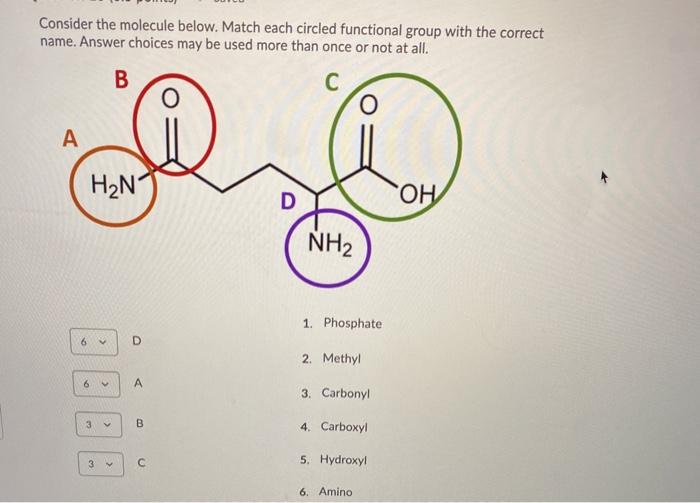 Solved Consider The Molecule Below. Identify Whether Each | Chegg.com