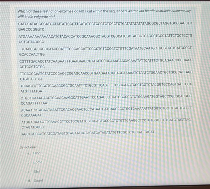 Solved Which of these restriction enzymes do NOT cut within | Chegg.com