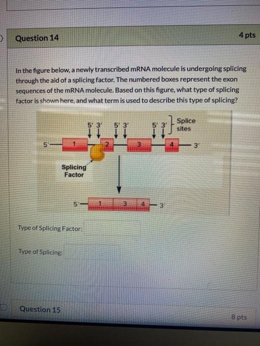 Solved Question 18 5 pts Below is the sequence of an entire | Chegg.com