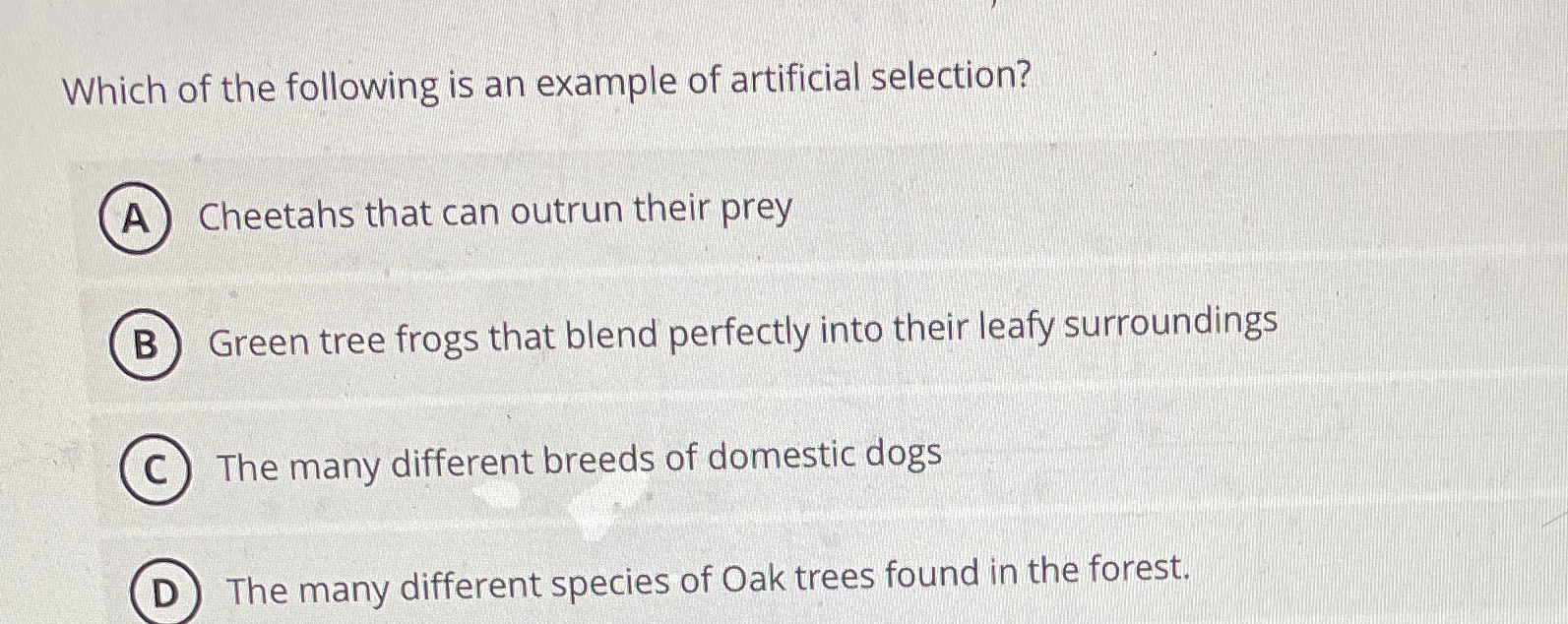 Solved Which of the following is an example of artificial