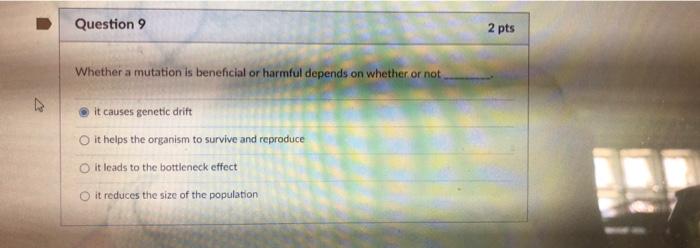 Solved D Question 5 The trophic pyramid tells us that a fish | Chegg.com