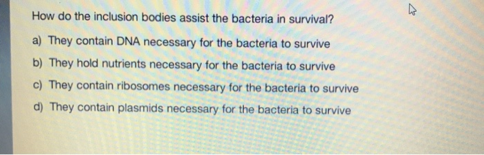 solved-how-do-the-inclusion-bodies-assist-the-bacteria-in-chegg