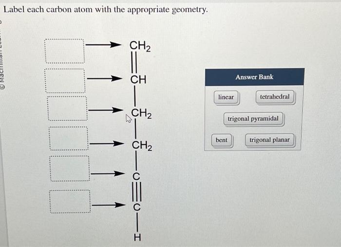 Solved Label each carbon atom with the appropriate geometry.