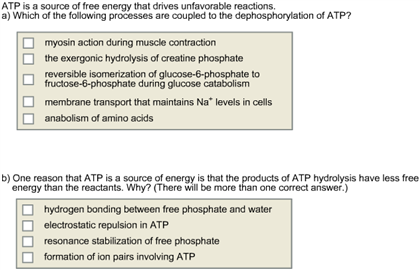 Solved ATP is a source of free energy that drives | Chegg.com