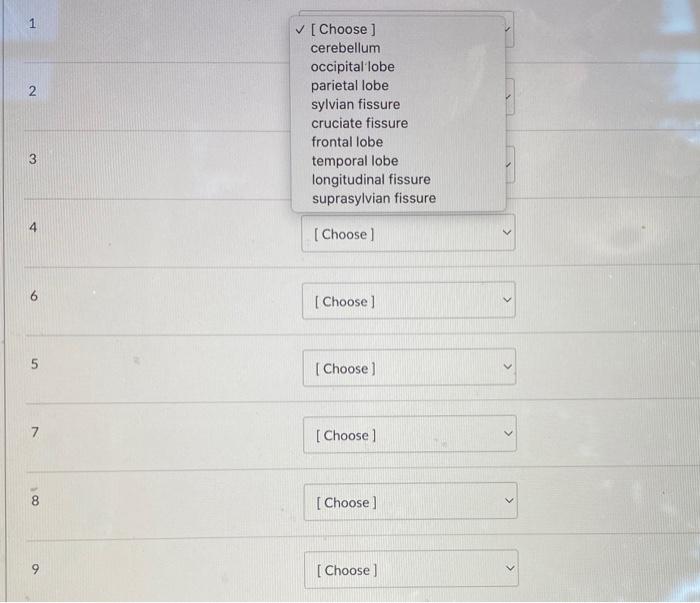 10 choose 5