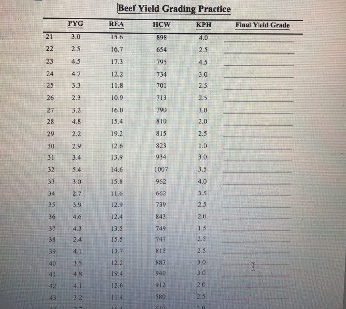 Beef Yield Grading Practice PYG HCW KPH Final Yield