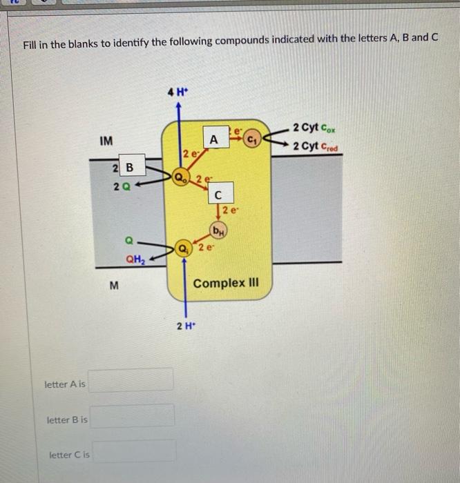 Solved Fill in the blanks to identify the following | Chegg.com