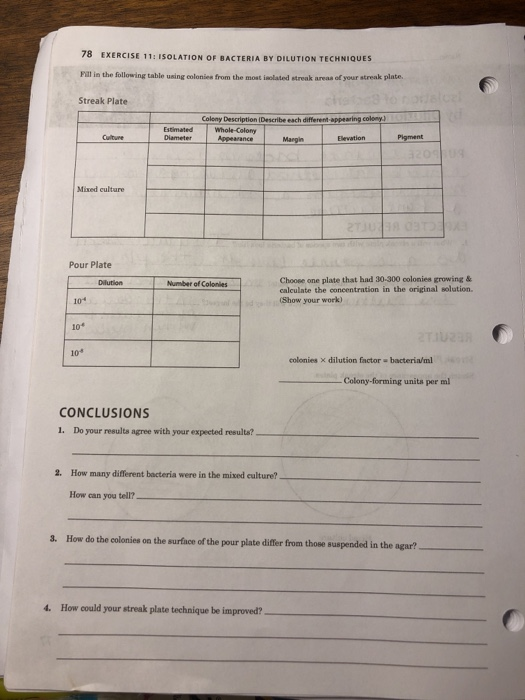 Solved 78 EXERCISE 11 ISOLATION OF BACTERIA BY DILUTION