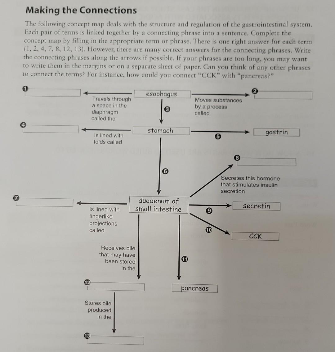 Solved Making the Connections The following concept map | Chegg.com