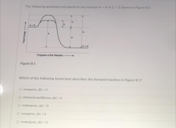 Solved The following questions are based on the reaction | Chegg.com