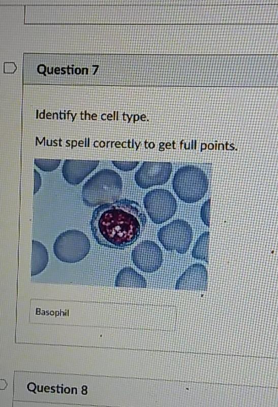 Solved Question 7 Identify the cell type. Must spell | Chegg.com