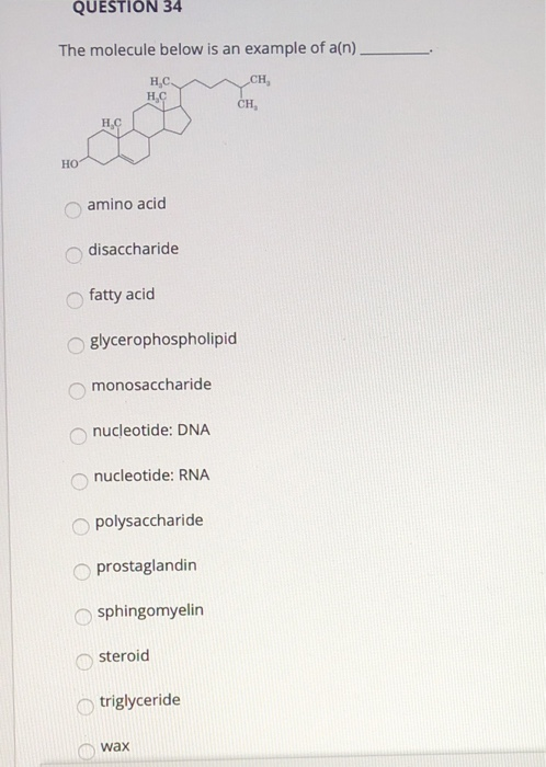 Solved QUESTION 31 The molecule below is an example of a(n). | Chegg.com