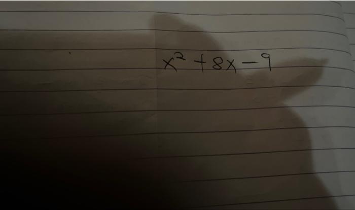 0 5 X 6 2 visual data 6