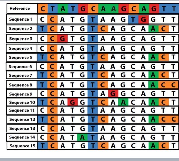 Compare the reference sequence to all the members of | Chegg.com