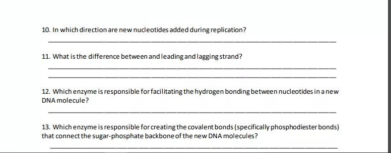 Solved 10. In which direction are new nucleotides added | Chegg.com