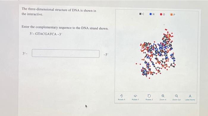 Solved The three-dimensional structure of DNA is shown in | Chegg.com