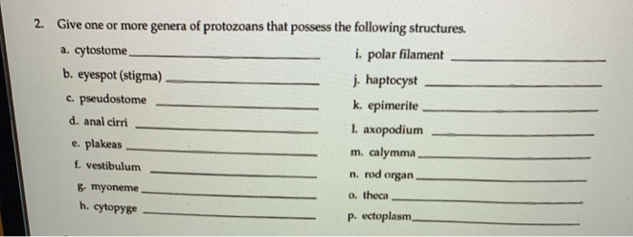Solved 2. Give one or more genera of protozoans that possess | Chegg.com
