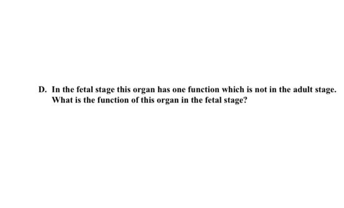 Solved 4. A. Identify The Organ. B. Is This Tissue A Primary | Chegg.com