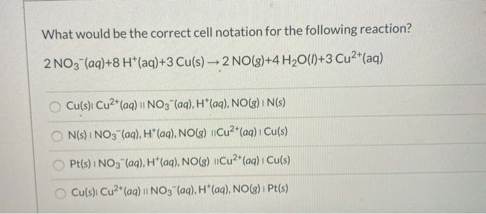 Solved What would be the correct cell notation for the | Chegg.com