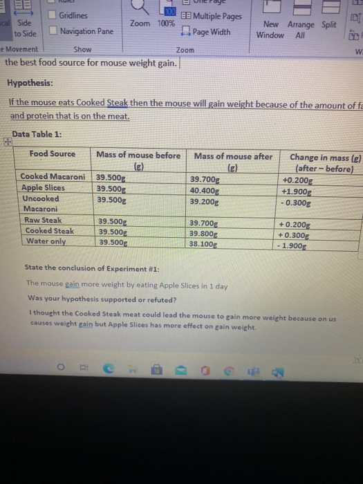 Paragraph Styles Lab 2 Scientific Method Lab