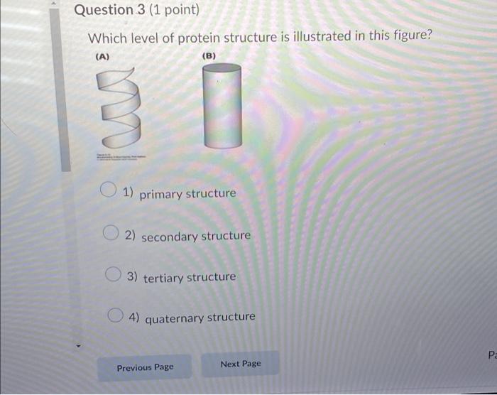 Solved Question 3 (1 Point) Which Level Of Protein Structure | Chegg.com