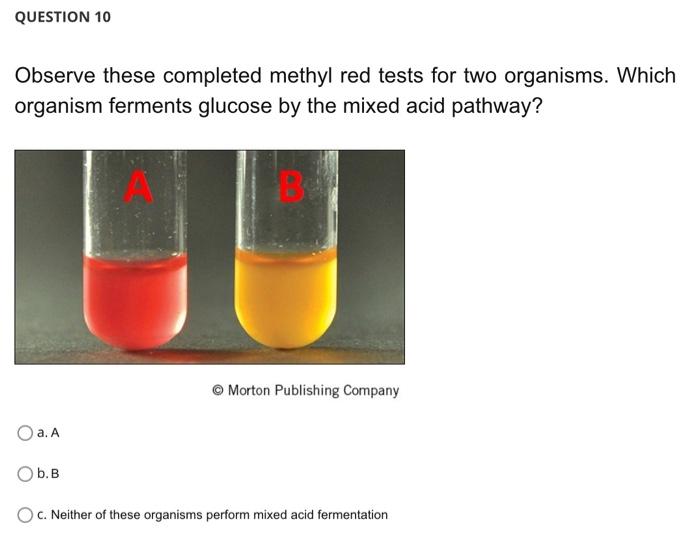 Solved QUESTION 10 Observe these completed methyl red tests