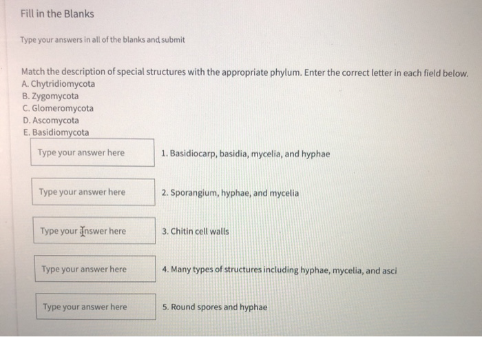 Solved Fill in the Blanks Type your answers in all of the | Chegg.com