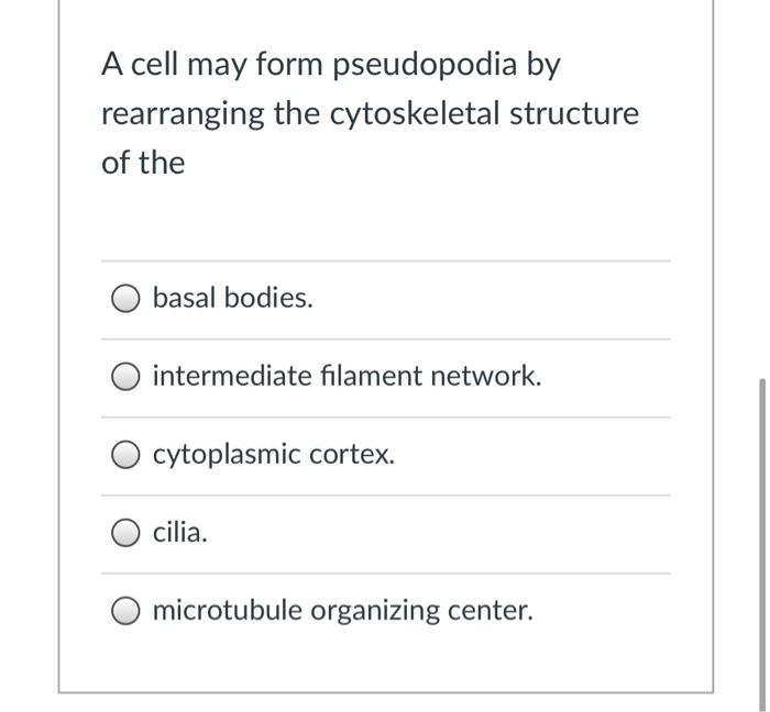 pseudopodia in a cell
