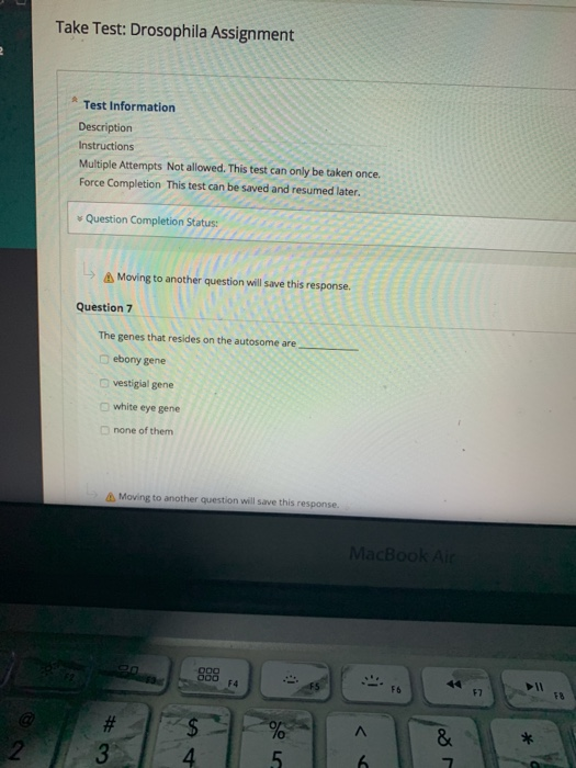 Solved Take Test: Drosophila Assignment Test Information 