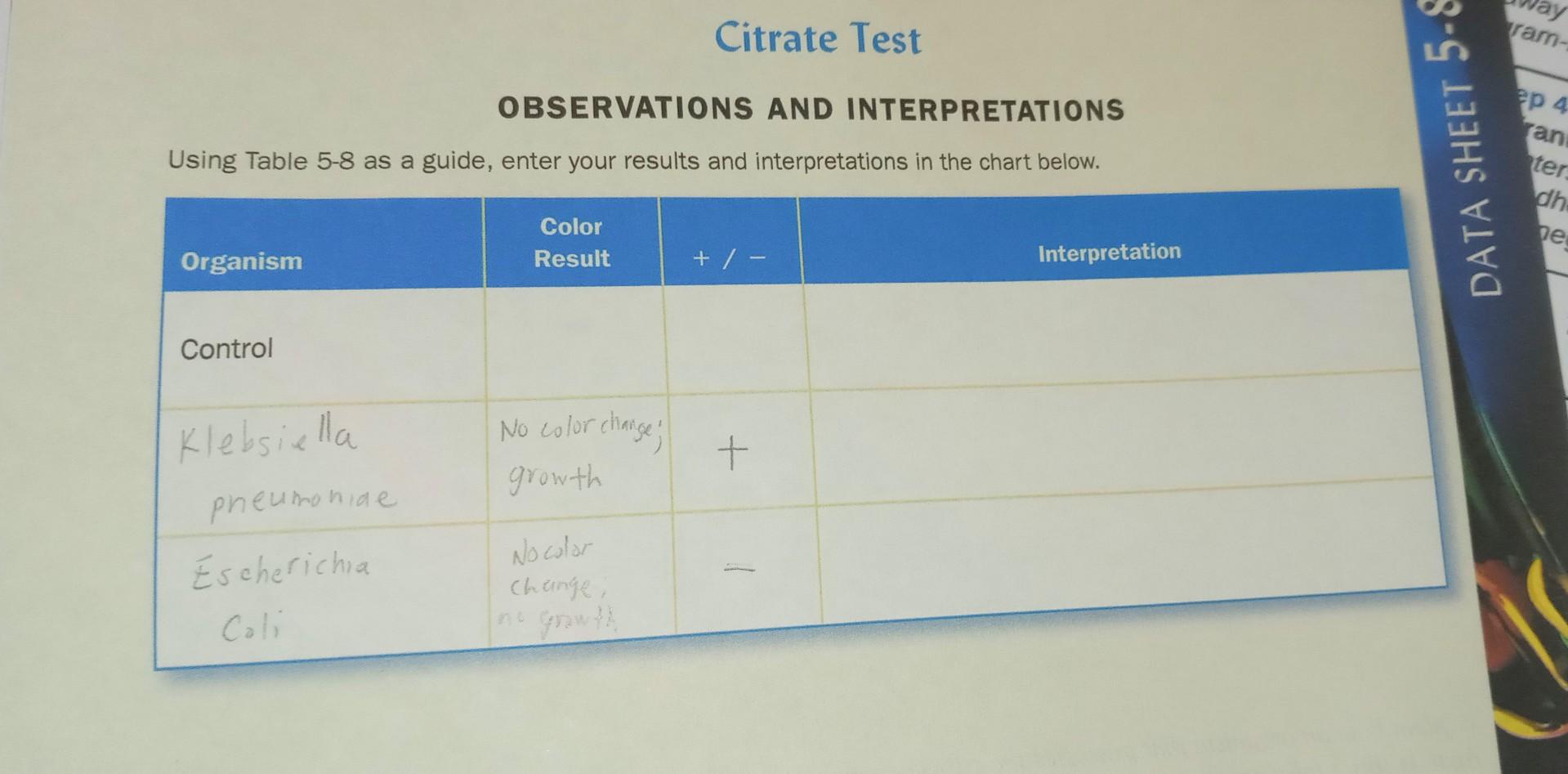 Solved TABLE 5-8 Citrate Test Results and | Chegg.com