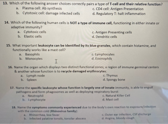 Solved 13 Which Of The Following Answer Choices Correctly Chegg