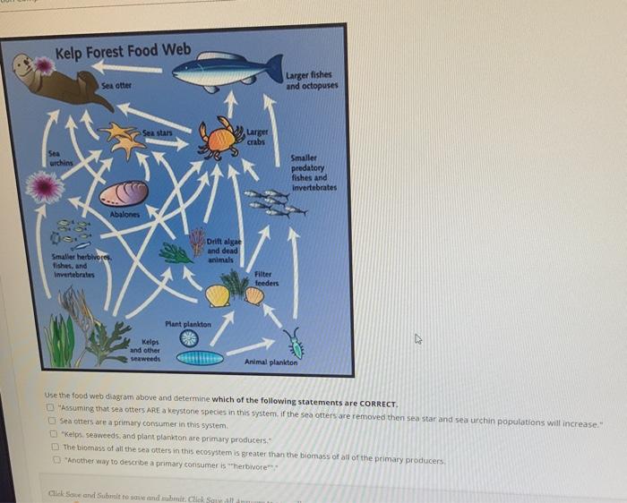 kelp forest ecosystem diagram