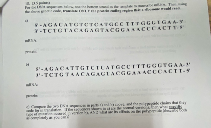 Solved 18. (3.3 points) For the DNA sequences below, use the | Chegg.com