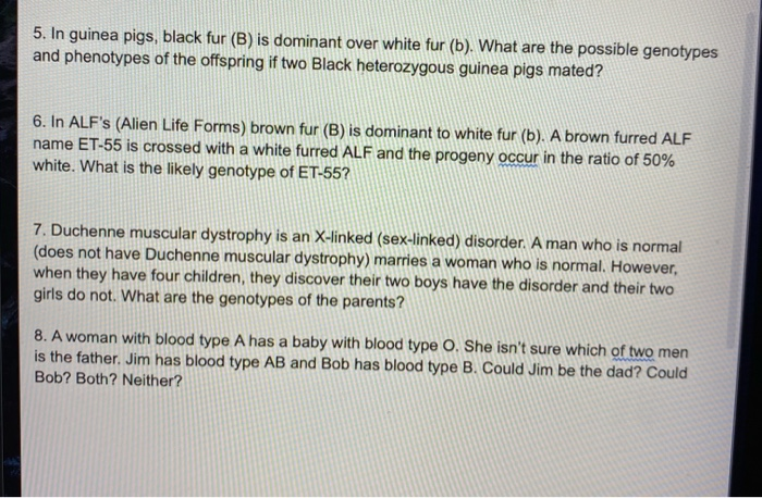 Solved 5. In Guinea Pigs, Black Fur (B) Is Dominant Over | Chegg.com