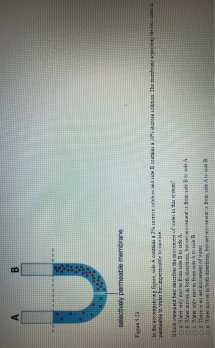 Solved A B Selectively Permeable Membrane Figure 5.23 In The | Chegg.com