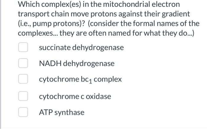 Solved A Mitochondrial Membrane Complex Consisting Of Atp Or Cheggcom