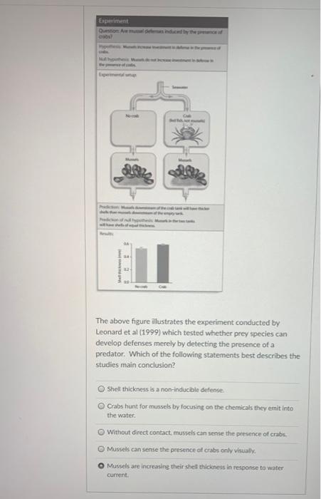 Solved The above figure illustrates the experiment conducted | Chegg.com