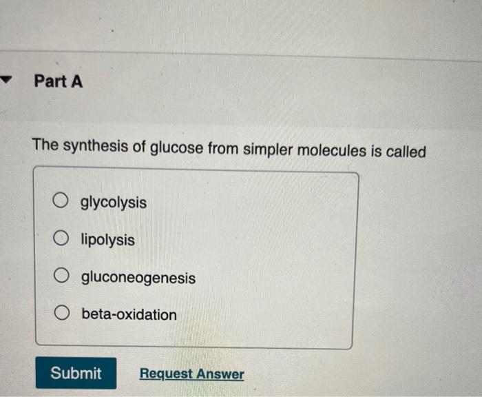 The synthesis of glucose from simpler molecules is called
glycolysis
lipolysis
gluconeogenesis
beta-oxidation