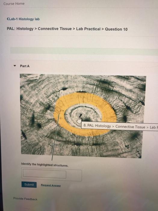 Test PAL-I Duration