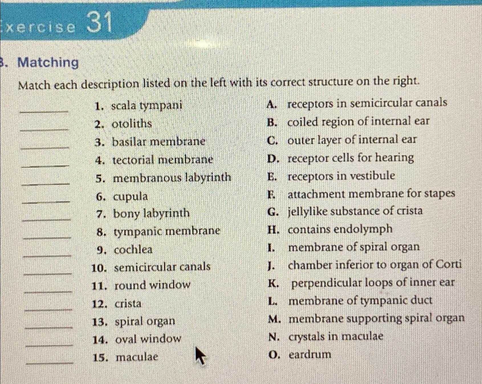 Solved xercise 31MatchingMatch each description listed on | Chegg.com